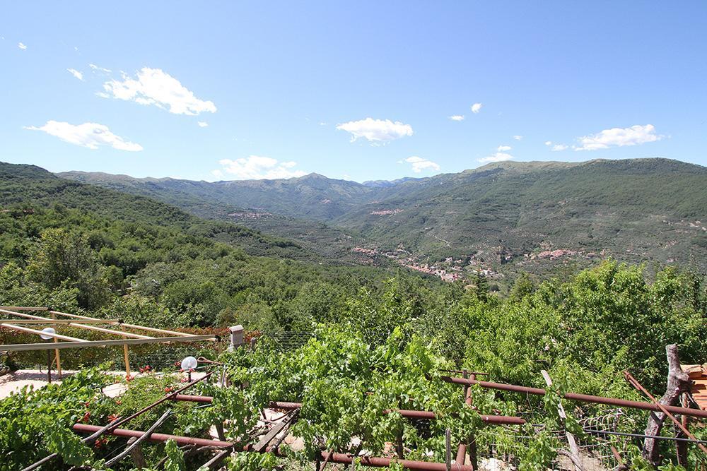Agriturismo Nonni Devia Lucinasco Екстериор снимка