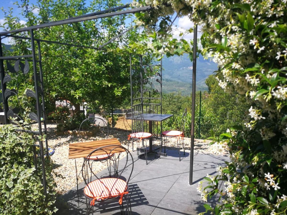 Agriturismo Nonni Devia Lucinasco Екстериор снимка